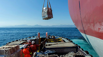 Ship Chandling And Supply